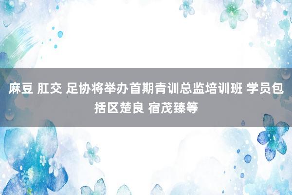 麻豆 肛交 足协将举办首期青训总监培训班 学员包括区楚良 宿茂臻等