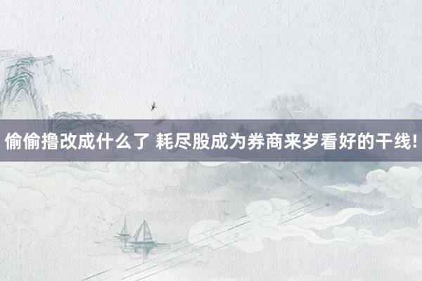 偷偷撸改成什么了 耗尽股成为券商来岁看好的干线!