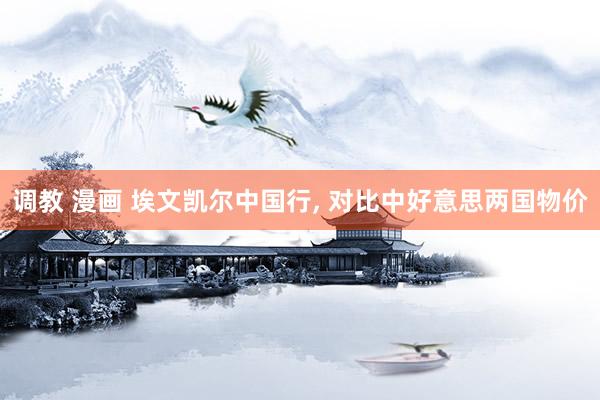 调教 漫画 埃文凯尔中国行， 对比中好意思两国物价