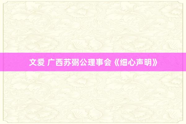 文爱 广西苏弼公理事会《细心声明》