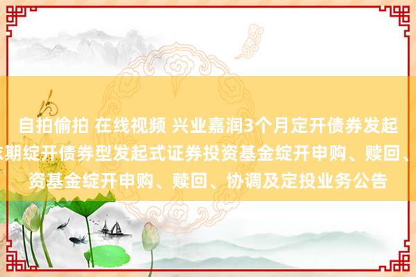 自拍偷拍 在线视频 兴业嘉润3个月定开债券发起式: 兴业嘉润3个月依期绽开债券型发起式证券投资基金绽开申购、赎回、协调及定投业务公告