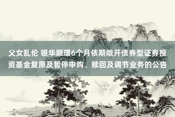 父女乱伦 银华顺璟6个月依期敞开债券型证券投资基金复原及暂停申购、赎回及调节业务的公告