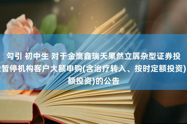 勾引 初中生 对于金鹰鑫瑞天果然立羼杂型证券投资基金暂停机构客户大额申购(含治疗转入、按时定额投资)的公告