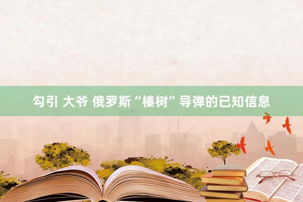 勾引 大爷 俄罗斯“榛树”导弹的已知信息