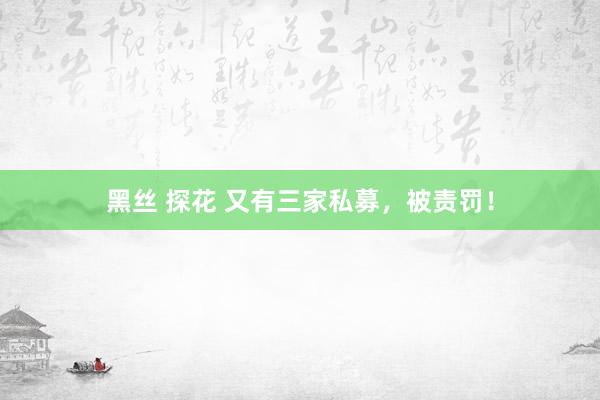 黑丝 探花 又有三家私募，被责罚！