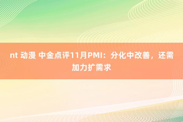nt 动漫 中金点评11月PMI：分化中改善，还需加力扩需求