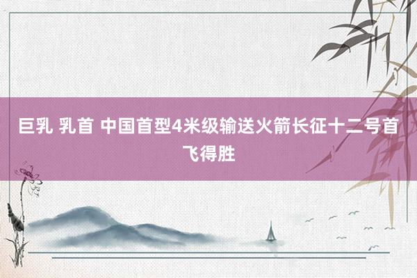 巨乳 乳首 中国首型4米级输送火箭长征十二号首飞得胜