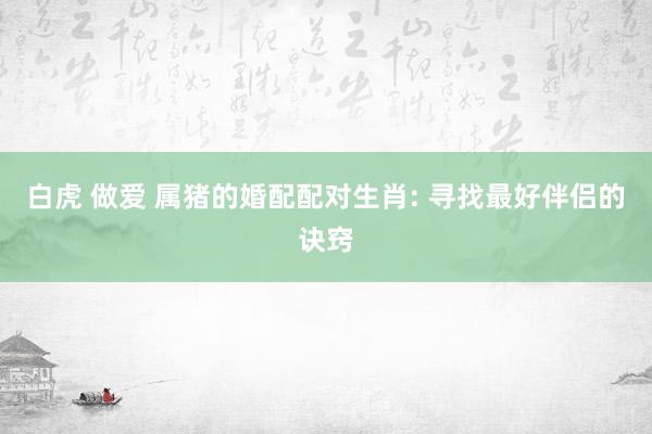 白虎 做爱 属猪的婚配配对生肖: 寻找最好伴侣的诀窍