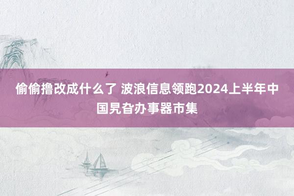 偷偷撸改成什么了 波浪信息领跑2024上半年中国旯旮办事器市集