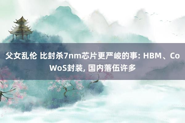 父女乱伦 比封杀7nm芯片更严峻的事: HBM、CoWoS封装， 国内落伍许多