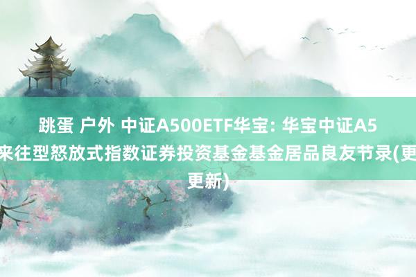 跳蛋 户外 中证A500ETF华宝: 华宝中证A500来往型怒放式指数证券投资基金基金居品良友节录(更新)