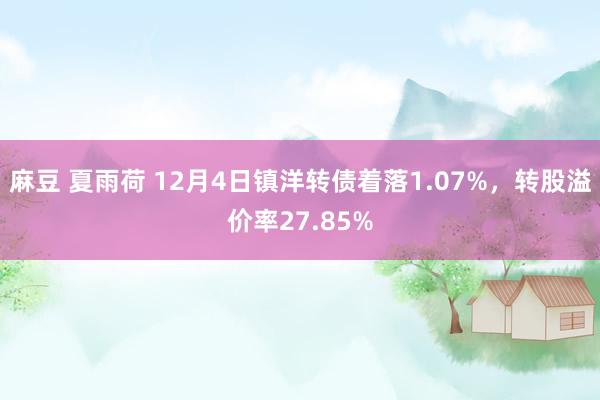 麻豆 夏雨荷 12月4日镇洋转债着落1.07%，转股溢价率27.85%