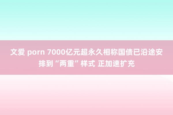 文爱 porn 7000亿元超永久相称国债已沿途安排到“两重”样式 正加速扩充
