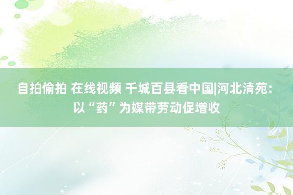 自拍偷拍 在线视频 千城百县看中国|河北清苑: 以“药”为媒带劳动促增收
