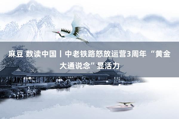 麻豆 数读中国丨中老铁路怒放运营3周年 “黄金大通说念”显活力