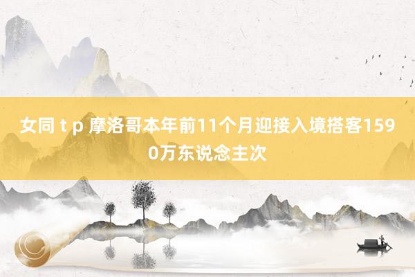 女同 t p 摩洛哥本年前11个月迎接入境搭客1590万东说念主次
