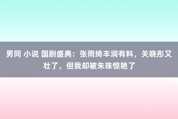 男同 小说 国剧盛典：张雨绮丰润有料，关晓彤又壮了，但我却被朱珠惊艳了
