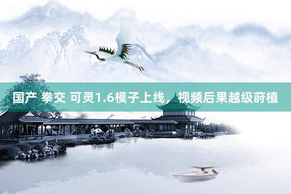 国产 拳交 可灵1.6模子上线，视频后果越级莳植