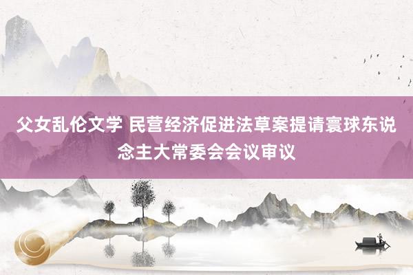 父女乱伦文学 民营经济促进法草案提请寰球东说念主大常委会会议审议