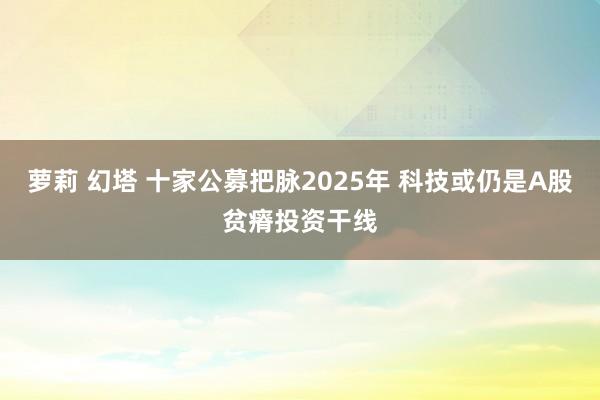 萝莉 幻塔 十家公募把脉2025年 科技或仍是A股贫瘠投资干线