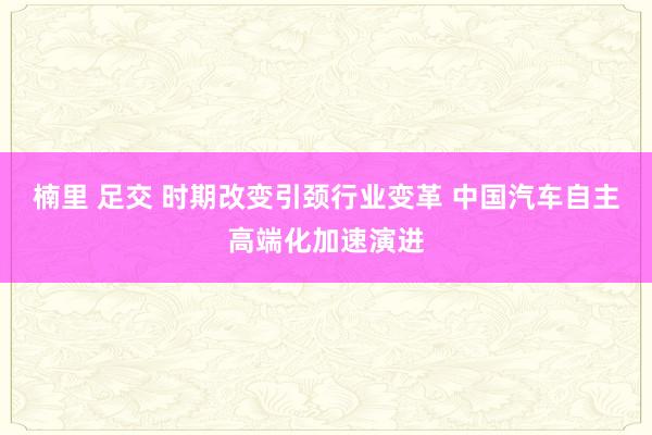 楠里 足交 时期改变引颈行业变革 中国汽车自主高端化加速演进