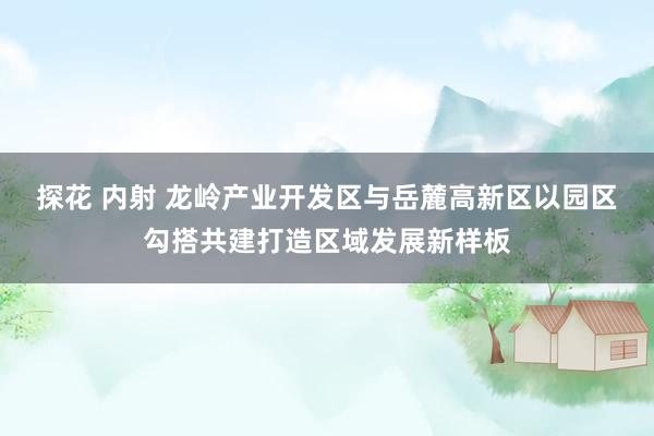 探花 内射 龙岭产业开发区与岳麓高新区以园区勾搭共建打造区域发展新样板
