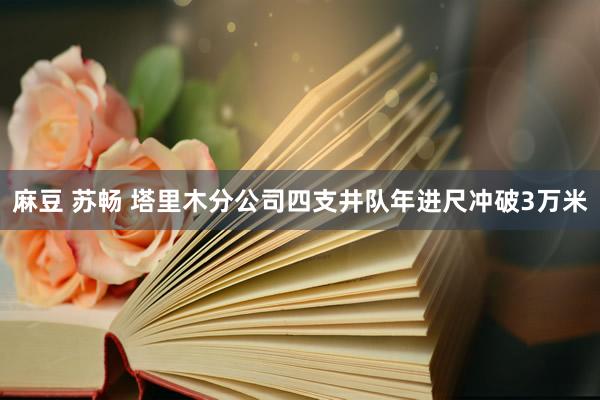 麻豆 苏畅 塔里木分公司四支井队年进尺冲破3万米