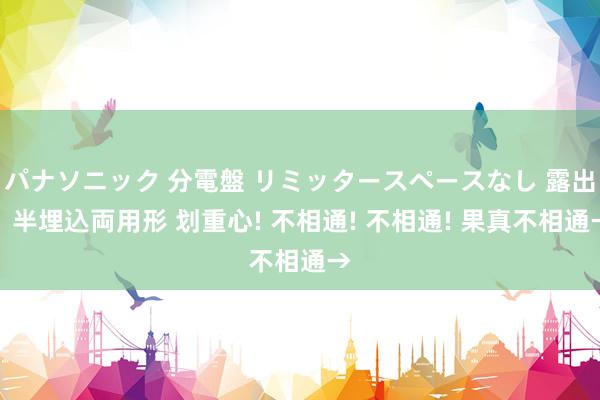 パナソニック 分電盤 リミッタースペースなし 露出・半埋込両用形 划重心! 不相通! 不相通! 果真不相通→