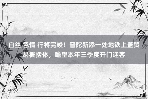 白丝 色情 行将完竣！普陀新添一处地铁上盖贸易概括体，瞻望本年三季度开门迎客
