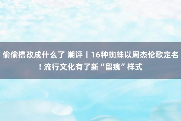 偷偷撸改成什么了 潮评丨16种蜘蛛以周杰伦歌定名! 流行文化有了新“留痕”样式