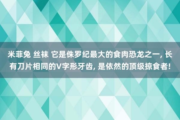 米菲兔 丝袜 它是侏罗纪最大的食肉恐龙之一， 长有刀片相同的V字形牙齿， 是依然的顶级掠食者!